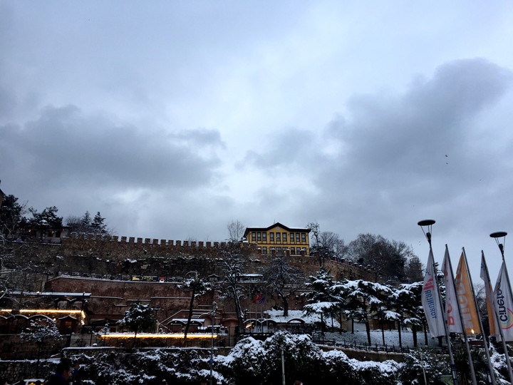 Bursa