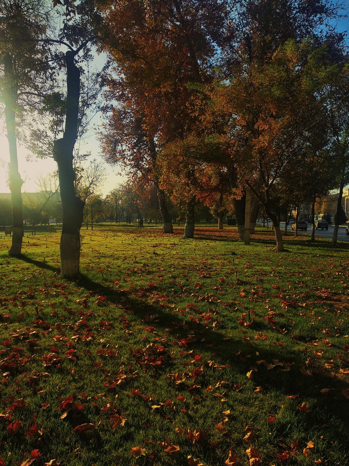 Fall