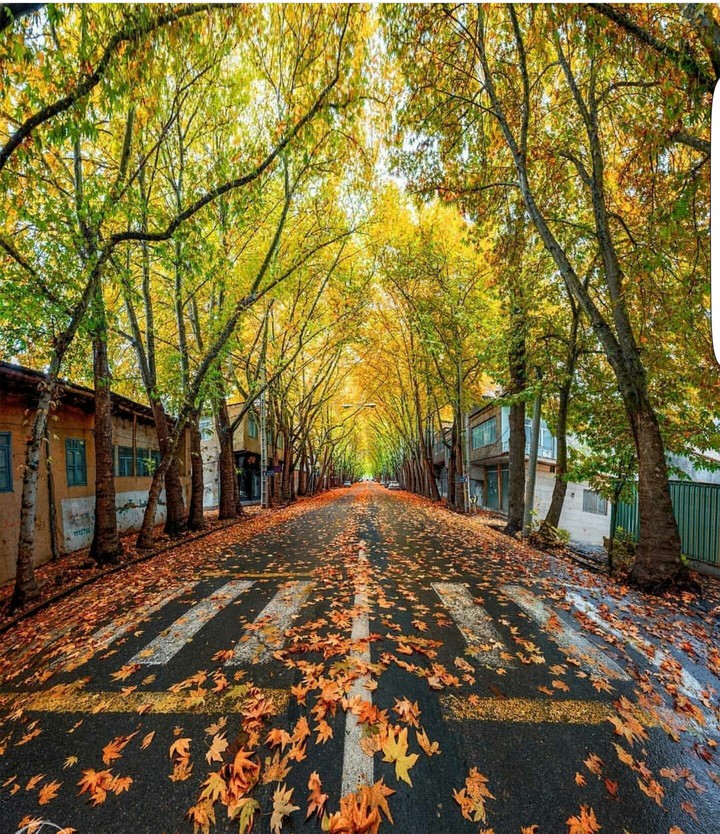 fall in Khansar