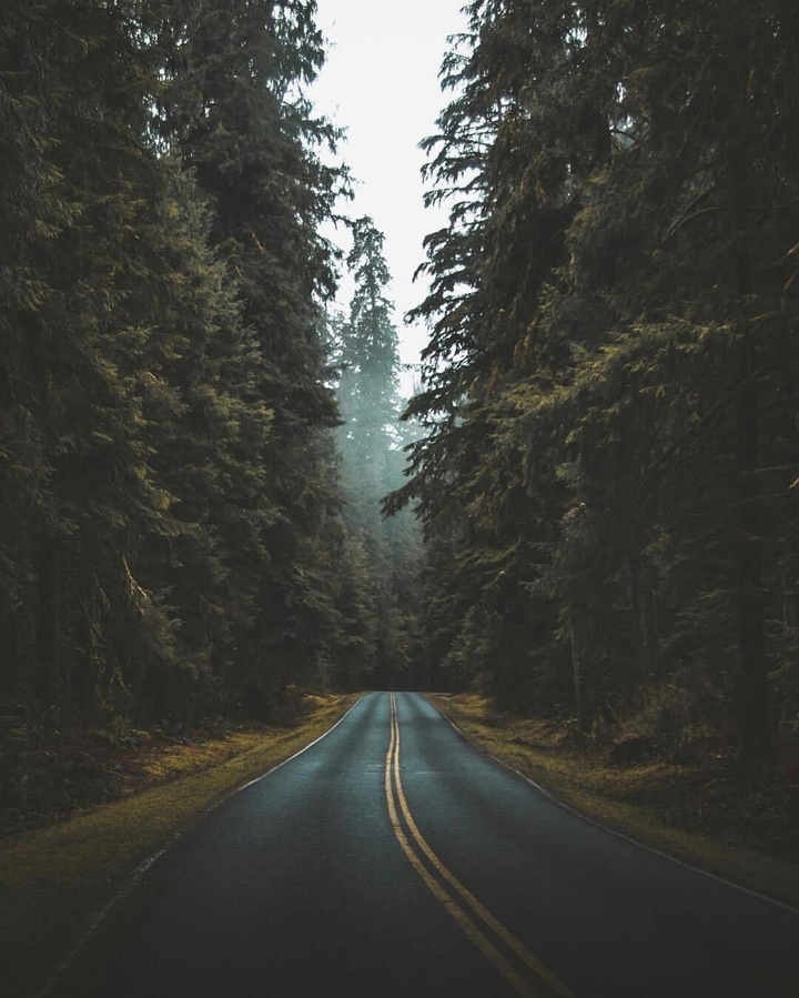 The road into the distance