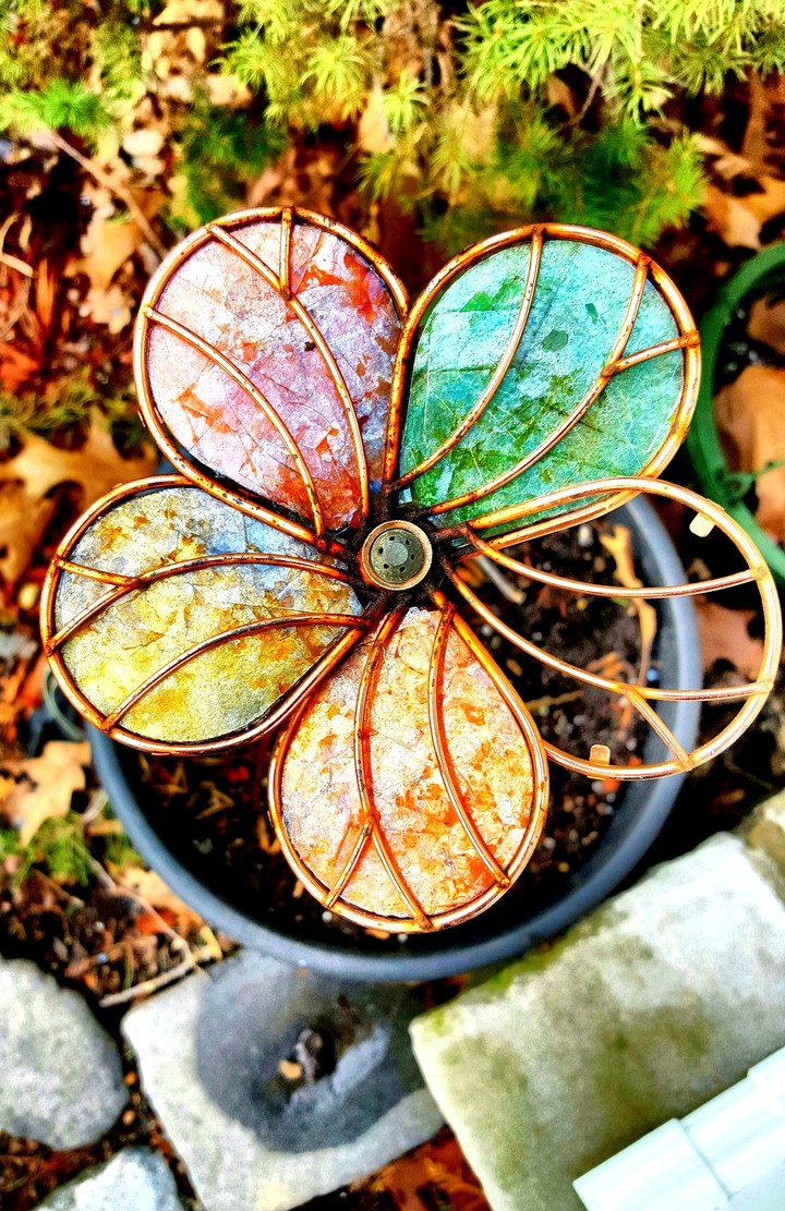 Garden Flower