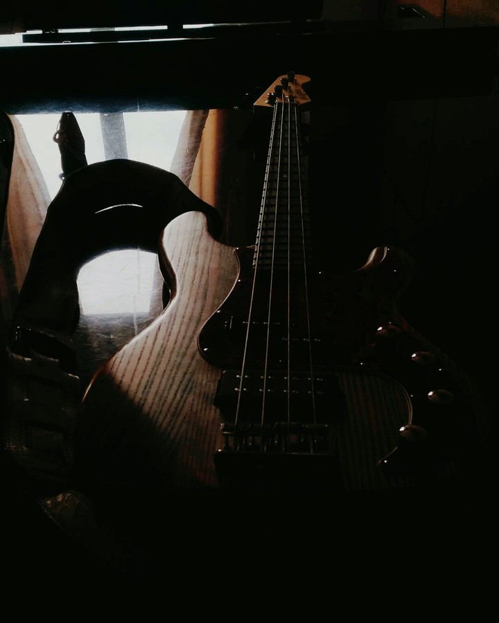 Guitar