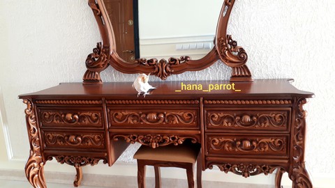 hanaparrot