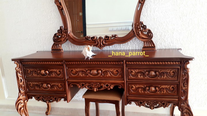 hanaparrot