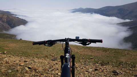 lion on the montain