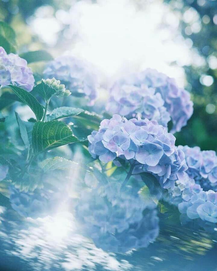 ❤