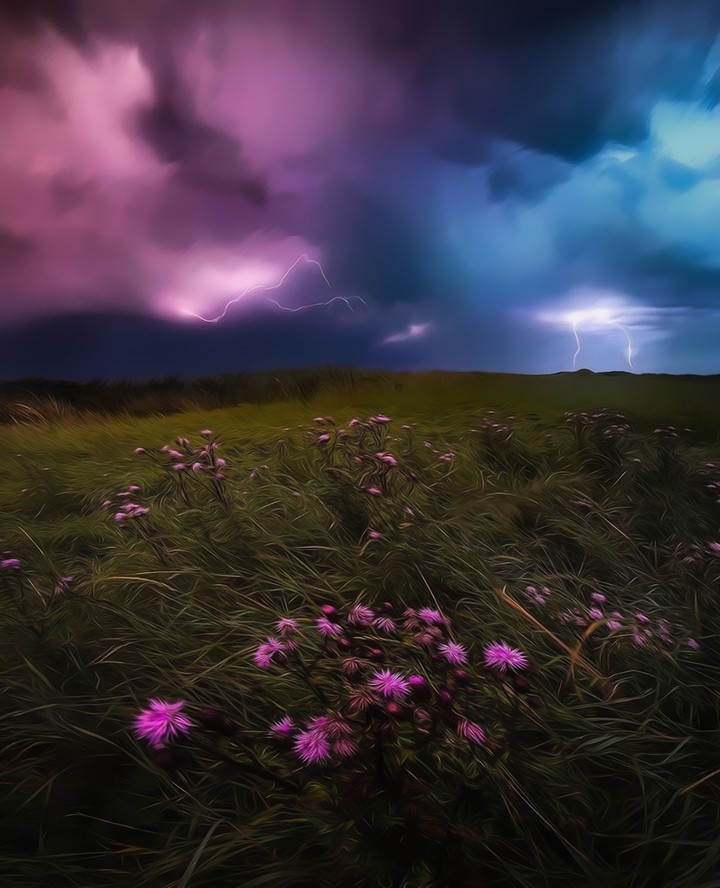 Amazing Nature