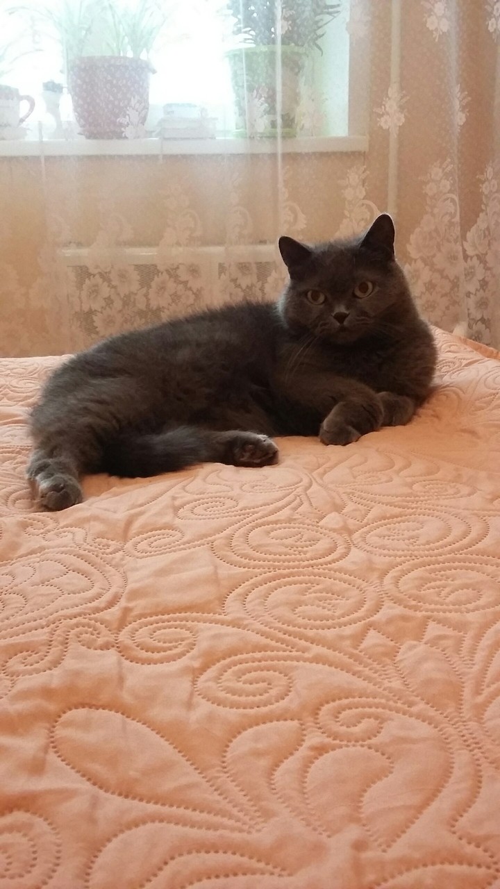Моя Мусяша