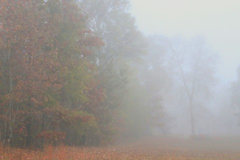 One Foggy Morning