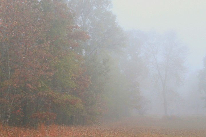 One Foggy Morning