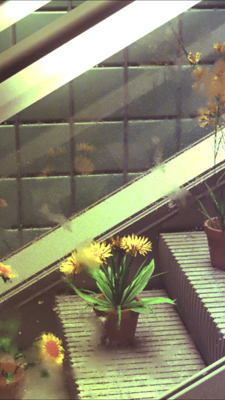 Elevator Flowers