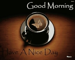 Good Morning