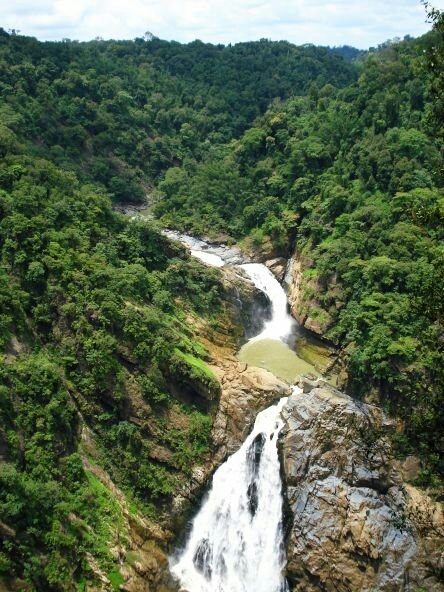 beautiful nature