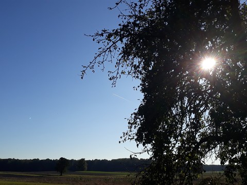 sky