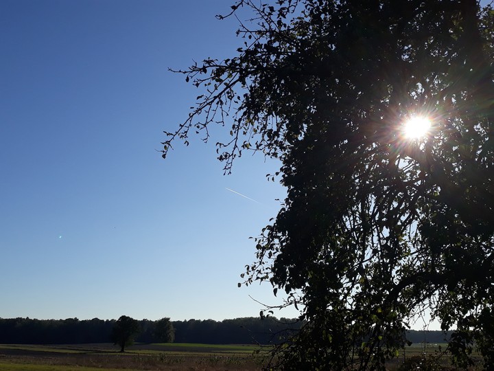 sky