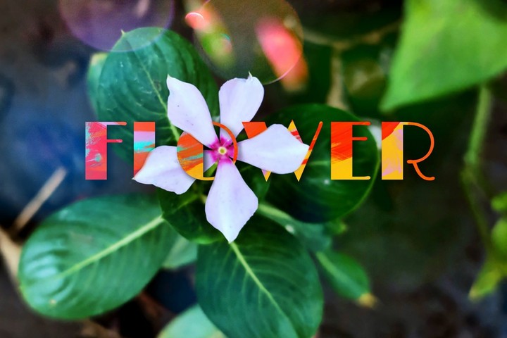 colours of nature
