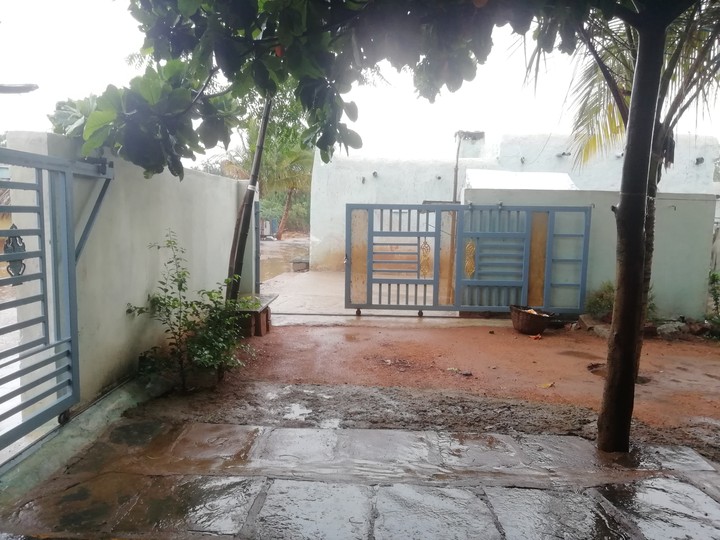 wether