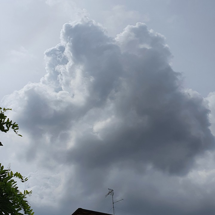 nube