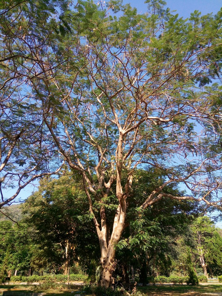 Breath~