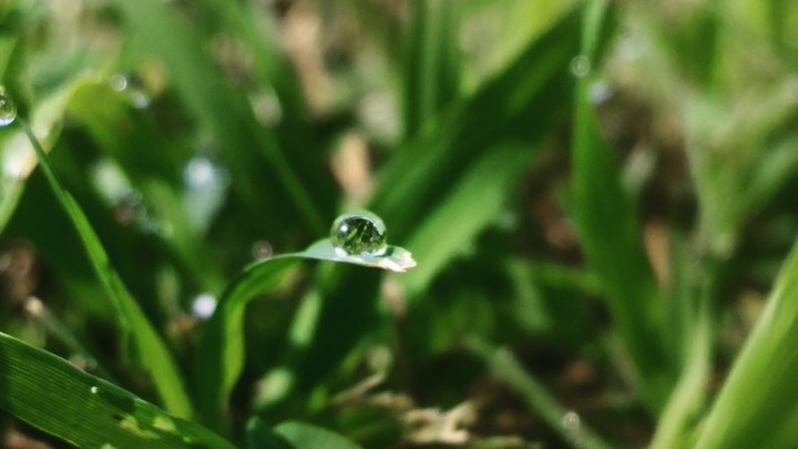 Water Drop