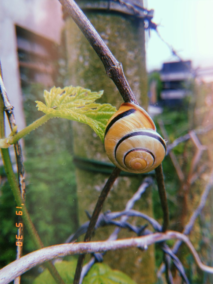 natura bla bla bla cazzate varie