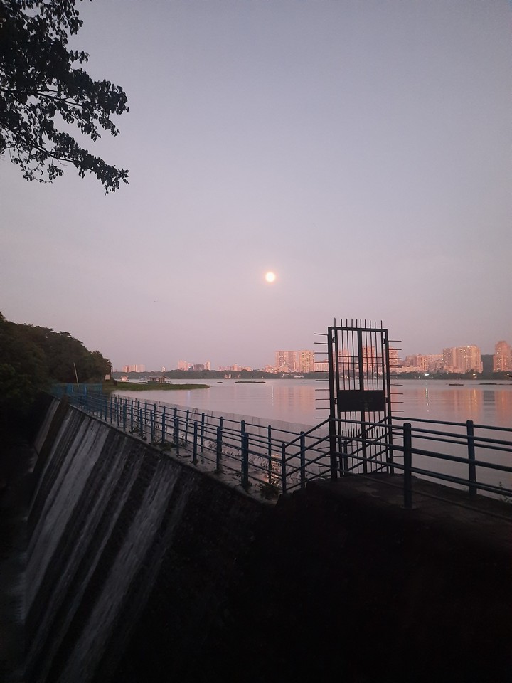 evening at powai lake