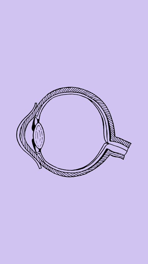 Eye