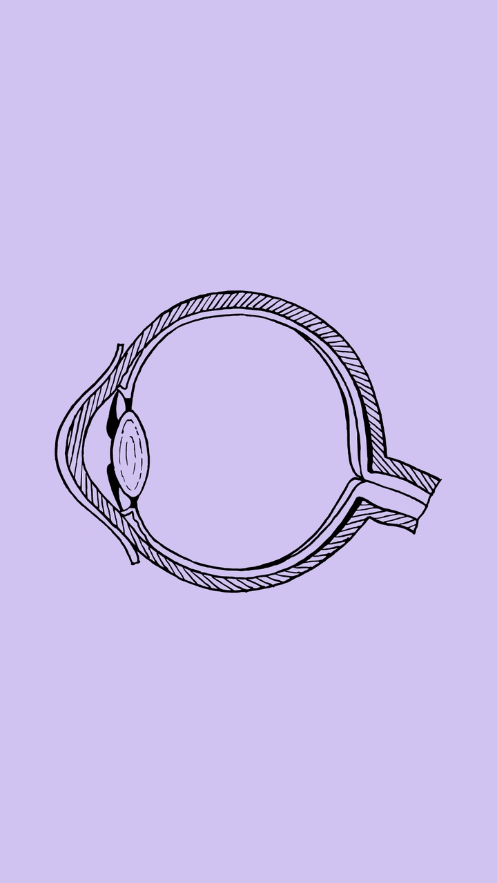 Eye