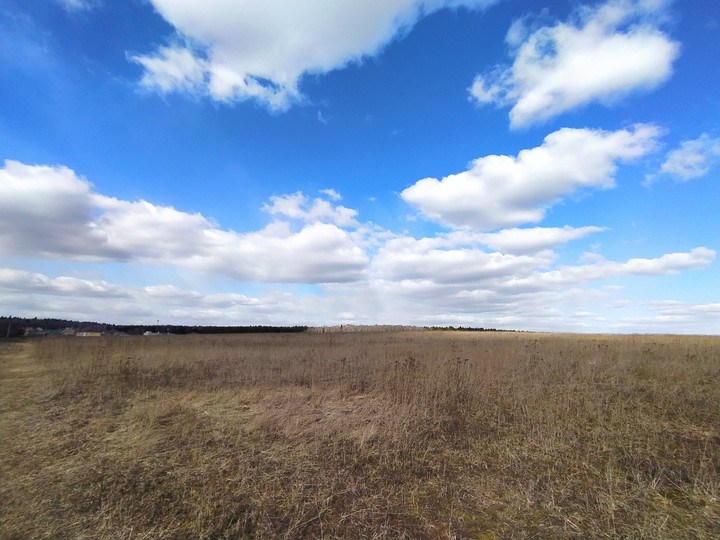 field