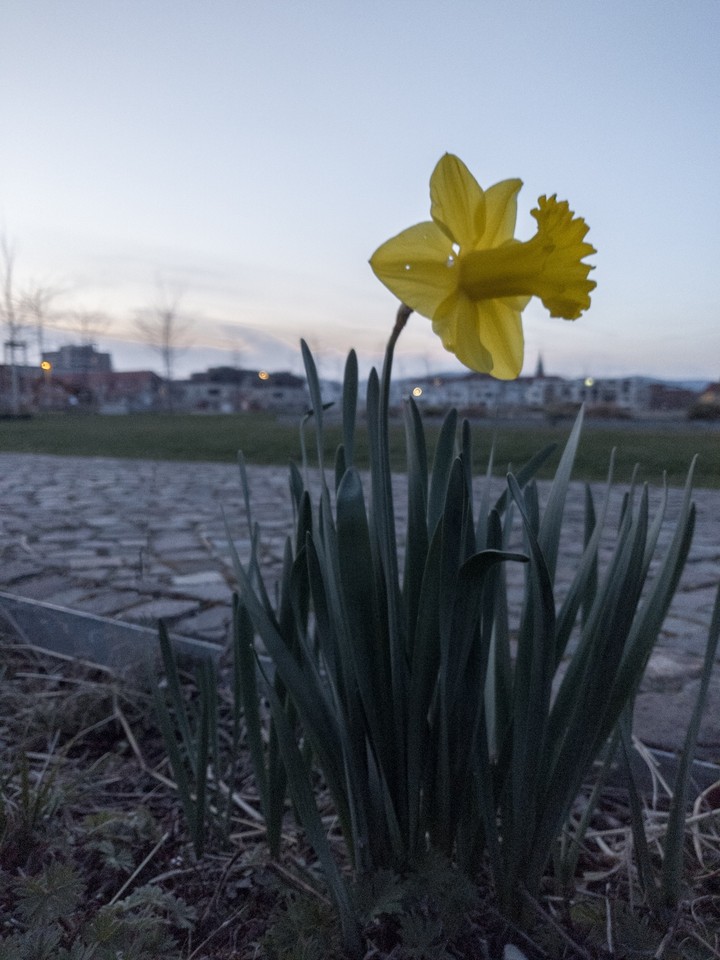 verblasster hintergrund