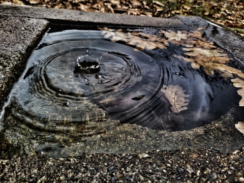 water