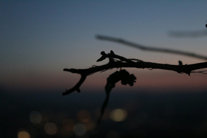 City at night