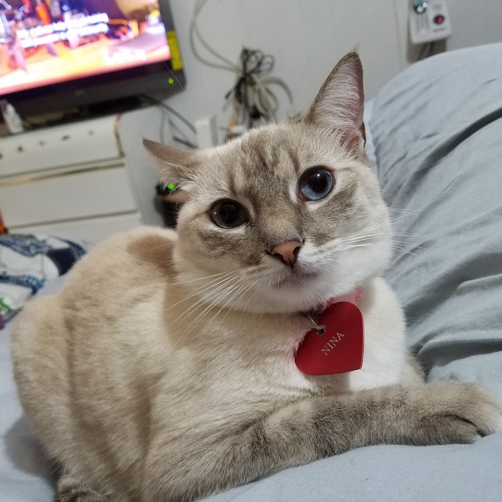 Nina