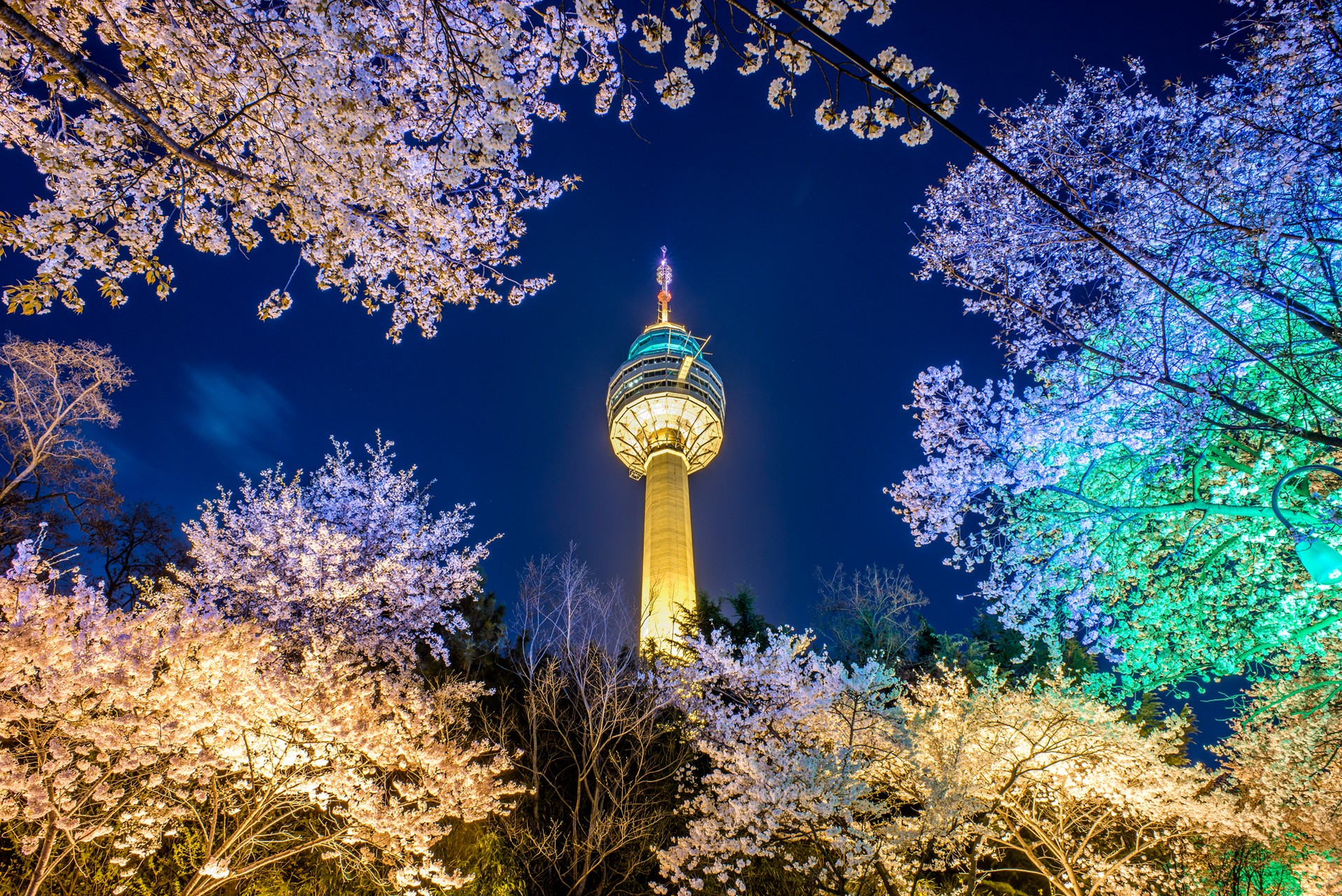 Korea Tower