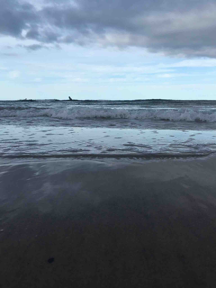 wave ?