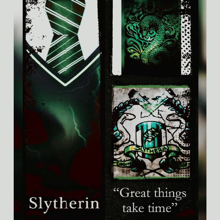 slytherin house