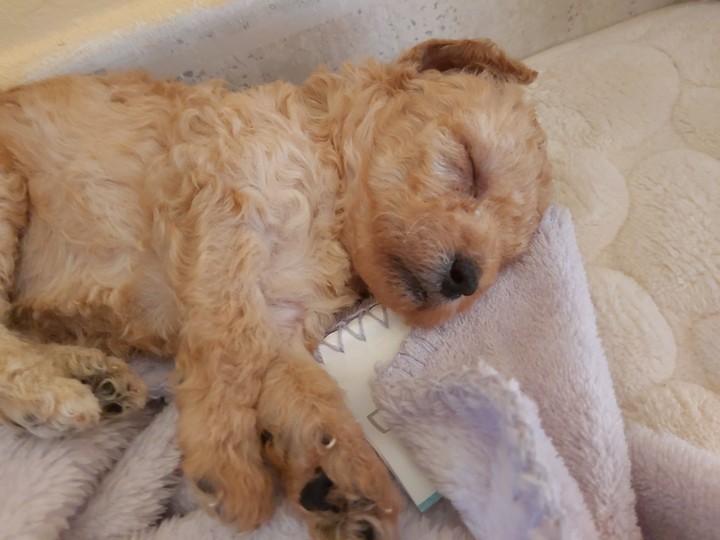 Sleep time