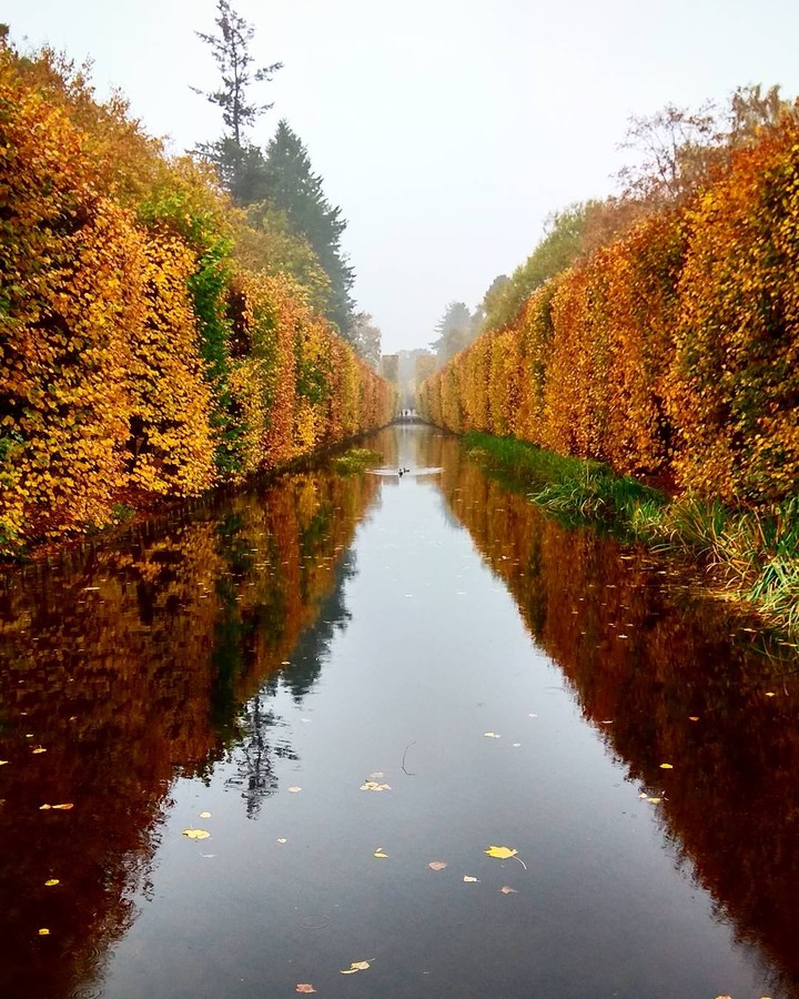 Autumn in a park