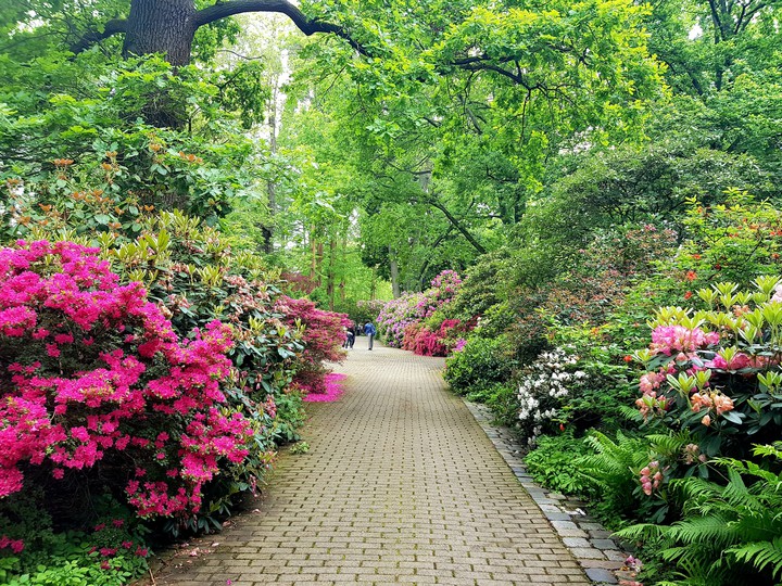Luisenpark