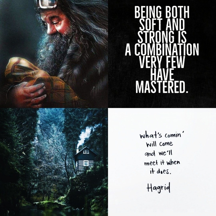 Rubeus Hagrid