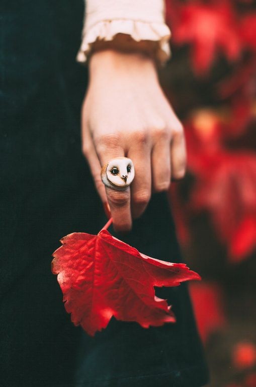 fall