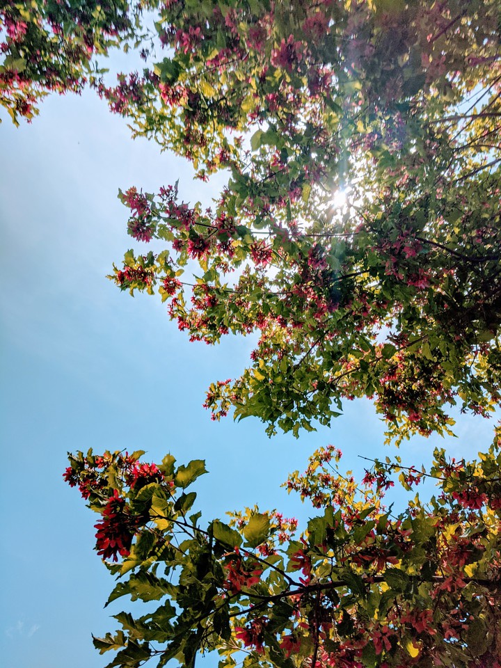 Summer