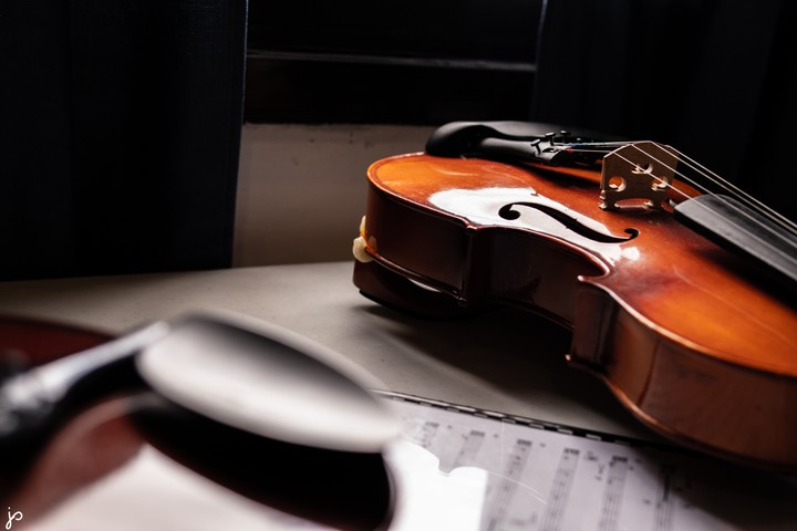 Violin