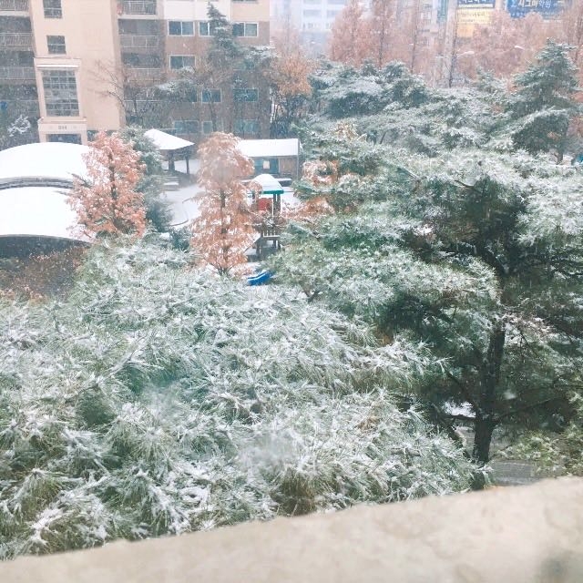 ❄️