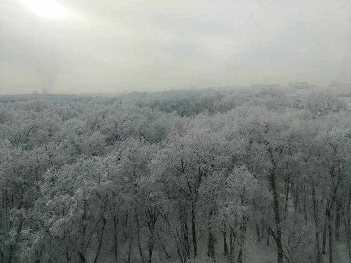 декабрь