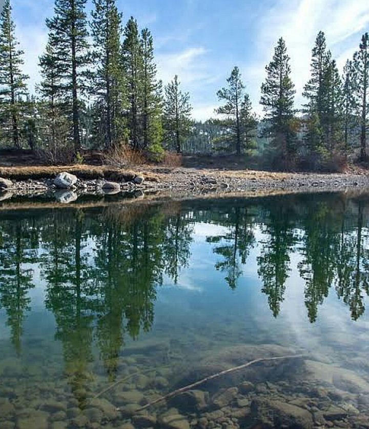 nature convenience