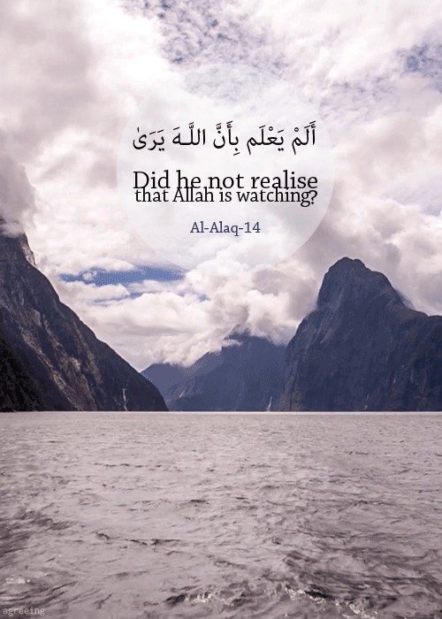 آیا نمیدانید؟!