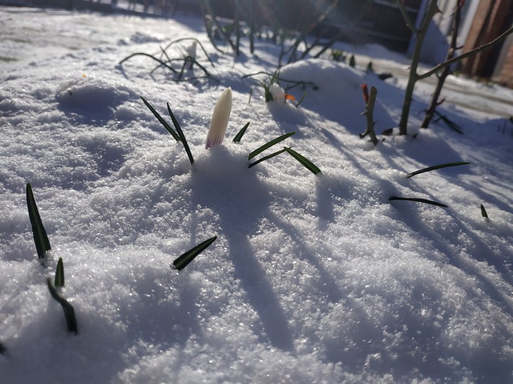 Spring