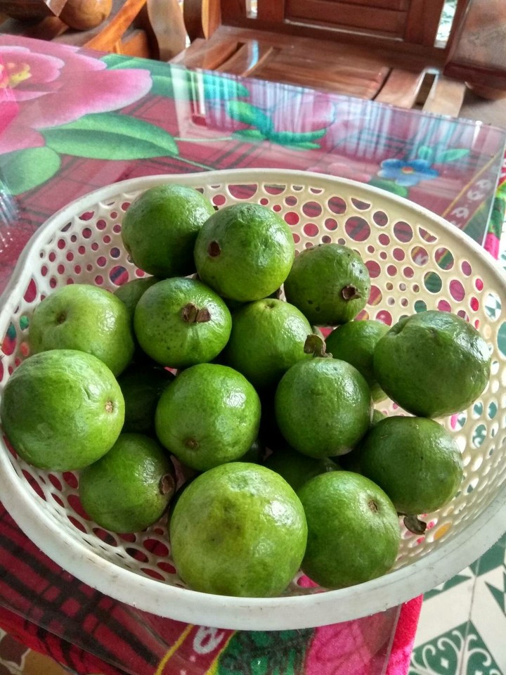 Guava