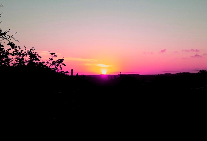 pink sunset